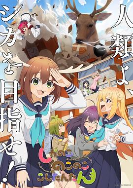 2026最新电视剧免费观影